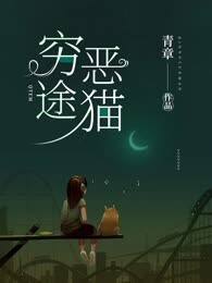 穷途恶猫